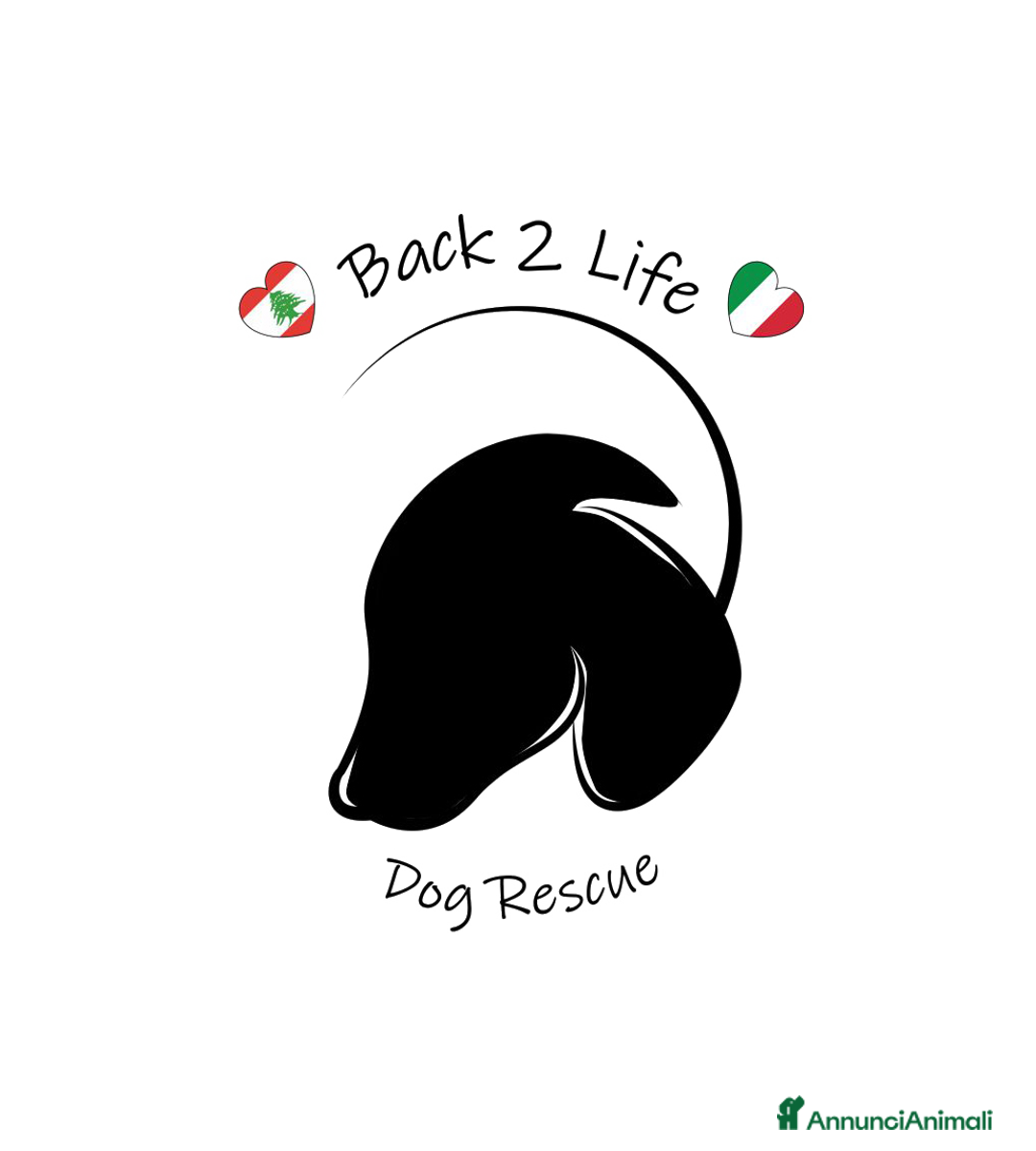 Immagine della galleria {{count}}