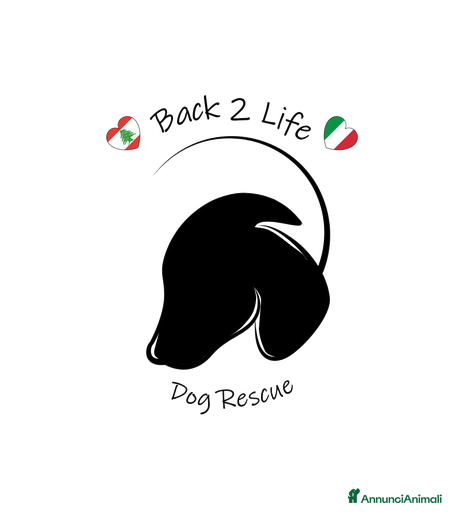 Immagine della galleria {{count}}