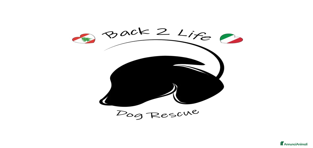 Immagine della galleria {{count}}