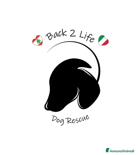 Immagine della galleria {{count}}