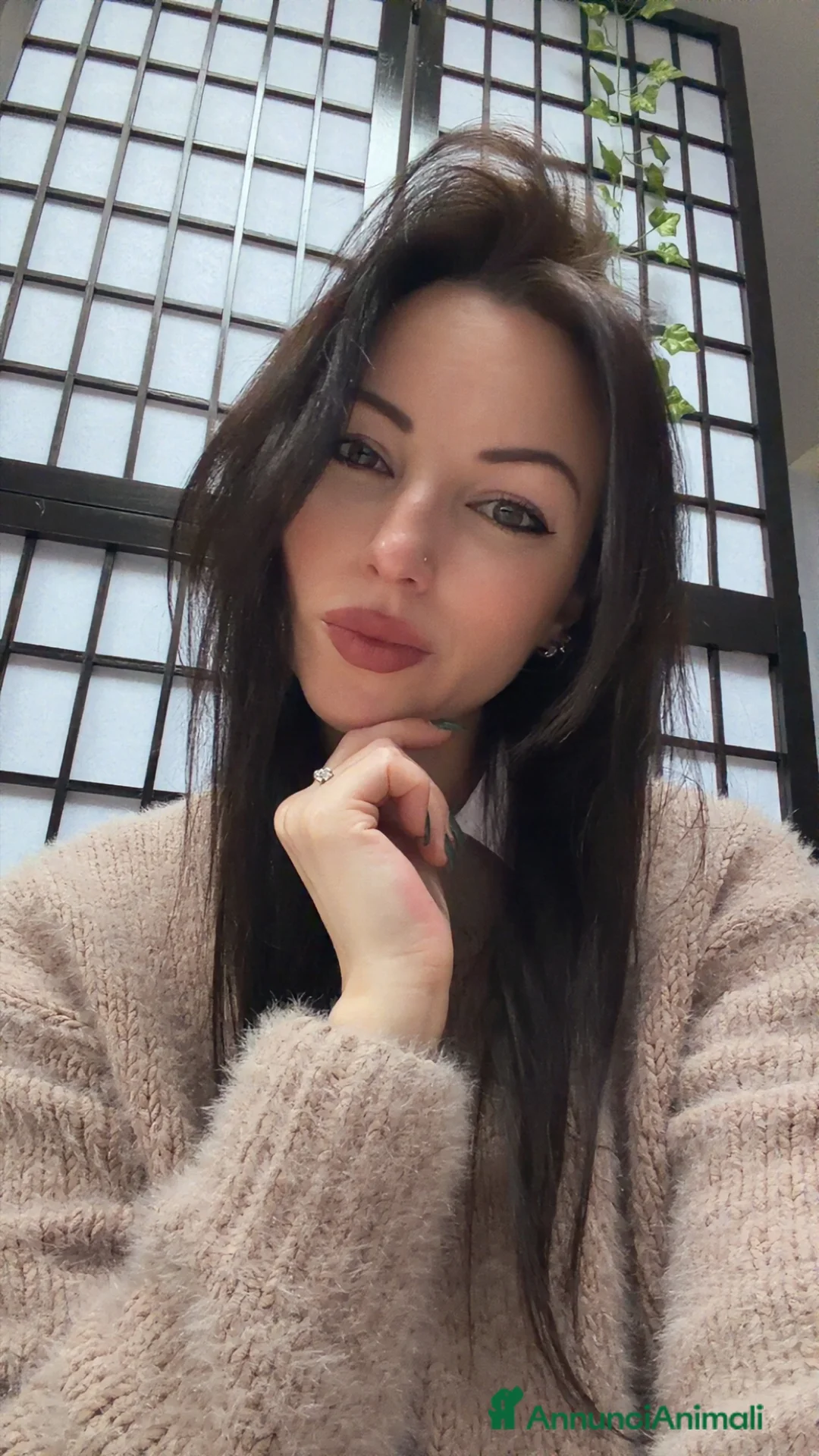 Immagine della galleria {{count}}