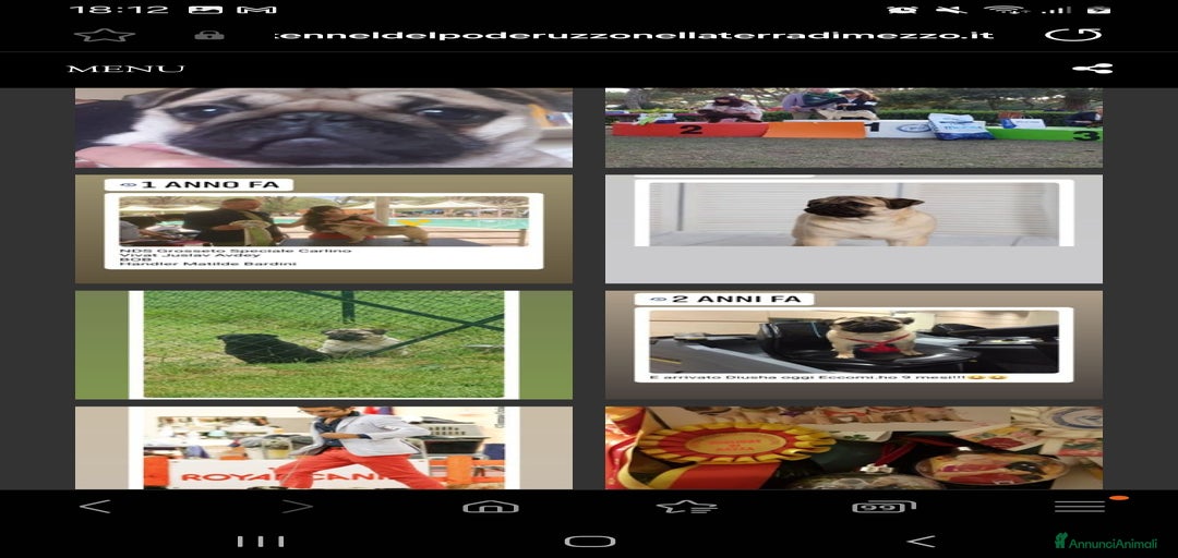 Immagine della galleria {{count}}