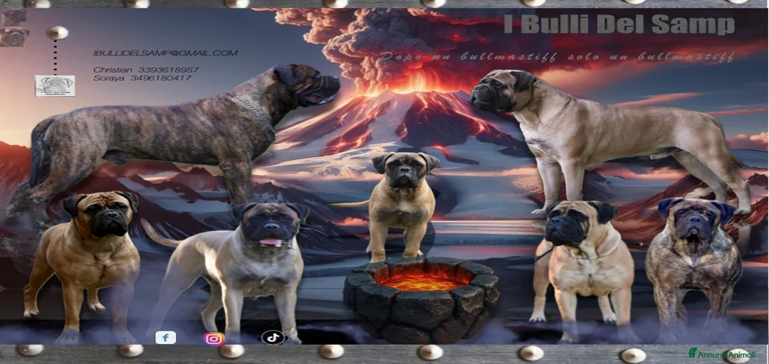 Immagine della galleria {{count}}