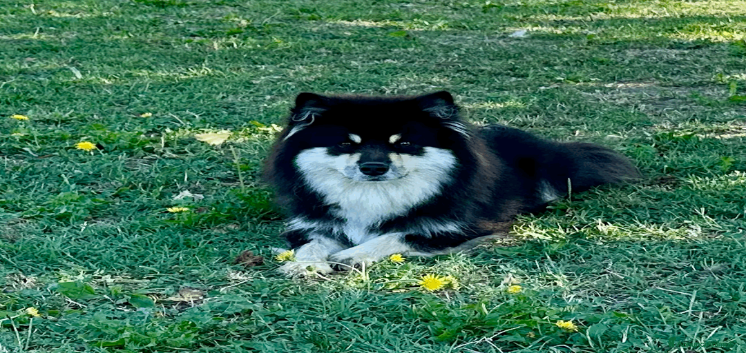 Immagine della galleria {{count}}