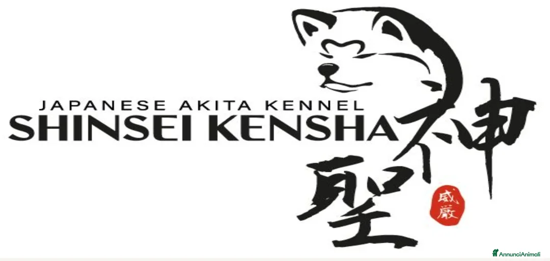 Immagine della galleria {{count}}