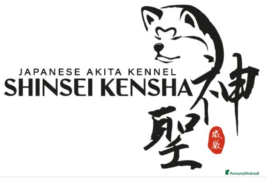 Immagine della galleria {{count}}