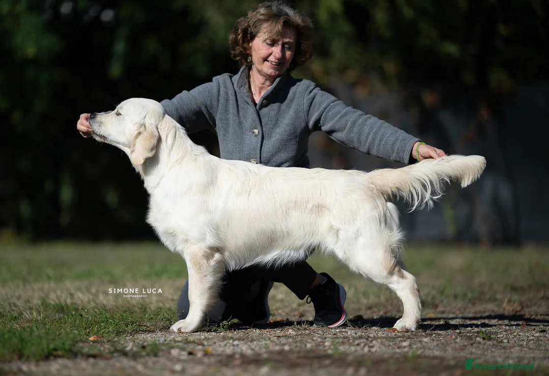 Immagine della galleria {{count}}