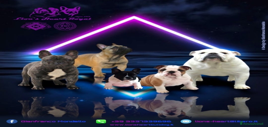 Immagine della galleria {{count}}