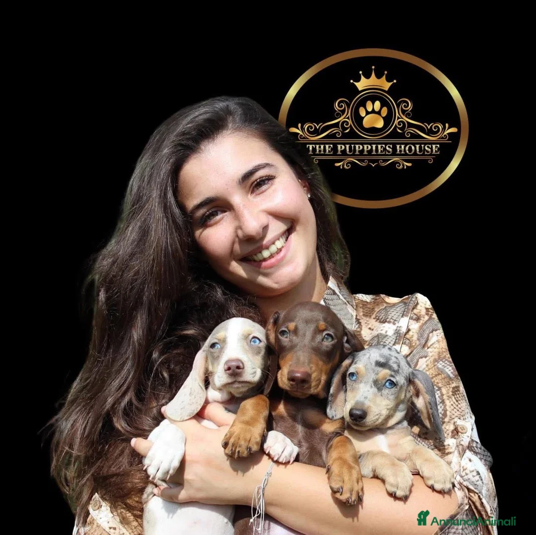 Immagine della galleria {{count}}