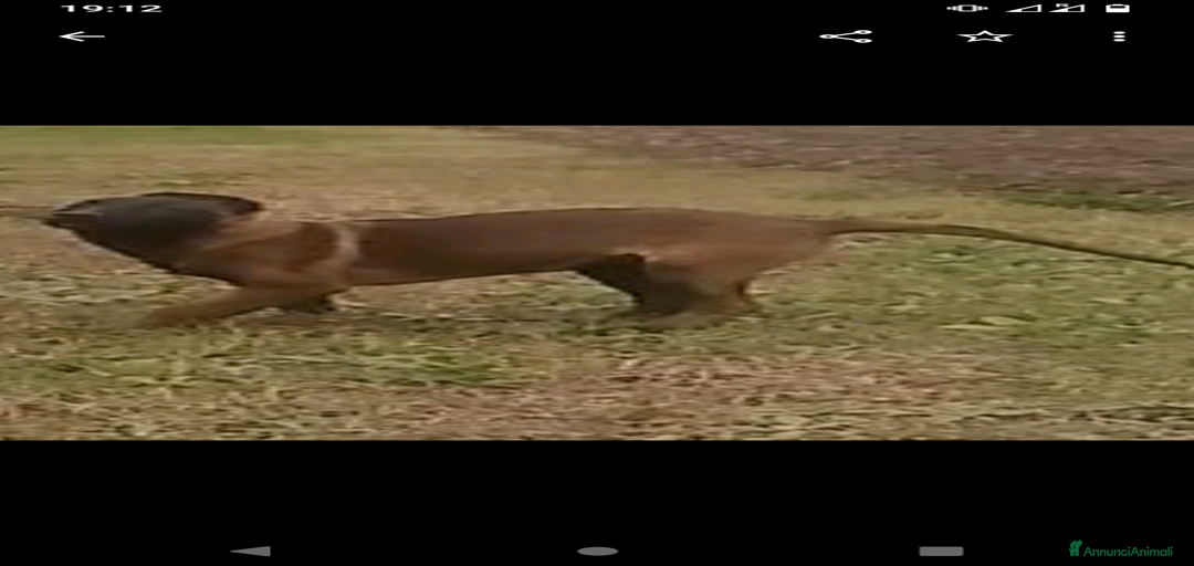 Immagine della galleria {{count}}