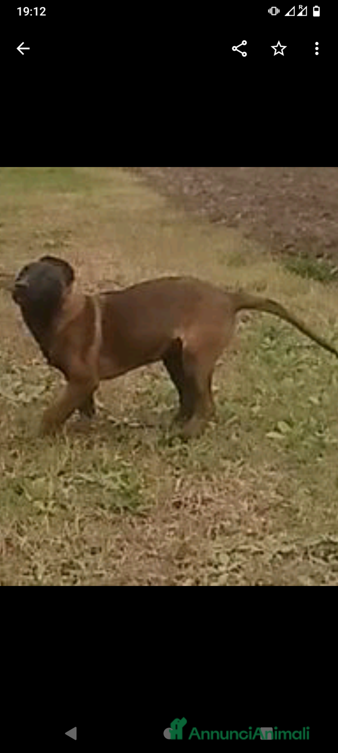 Immagine della galleria {{count}}