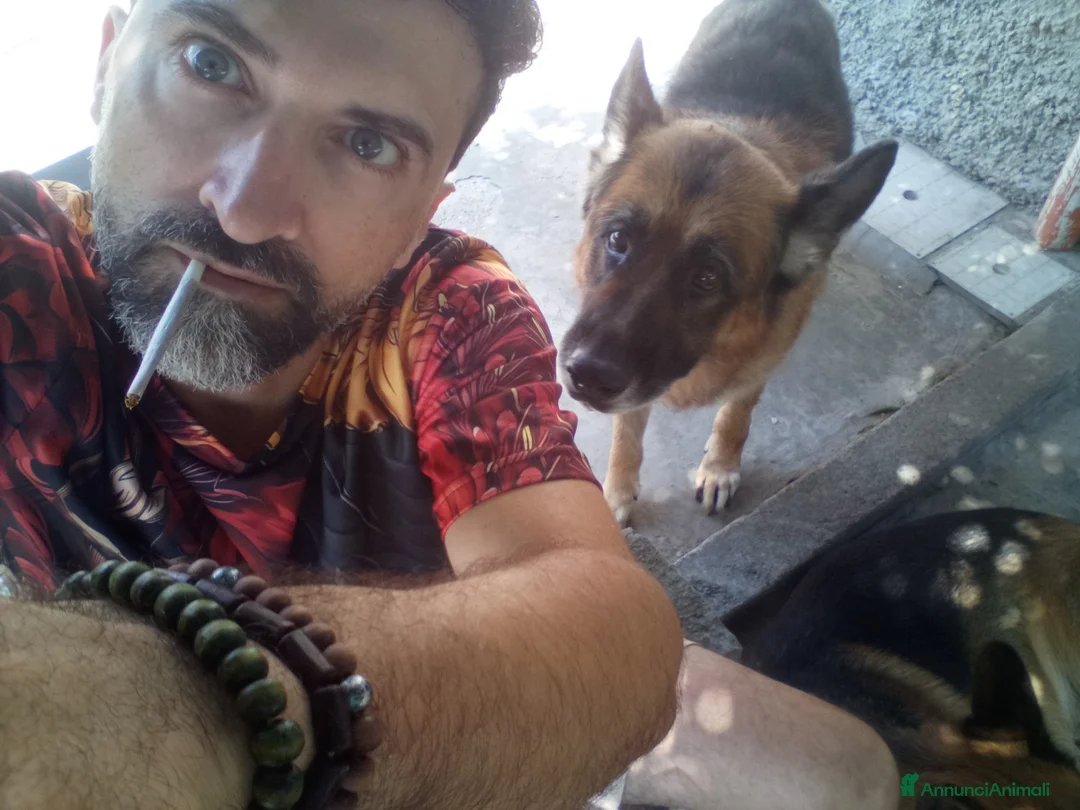 Immagine della galleria {{count}}