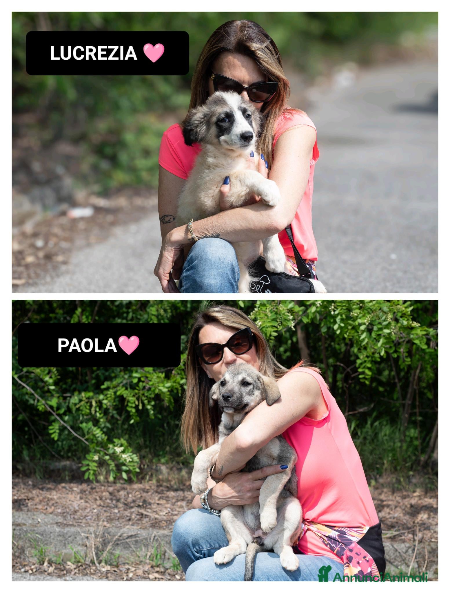 Meticcio cani LUCREZIA, , PAOLA, - Annuncio 28