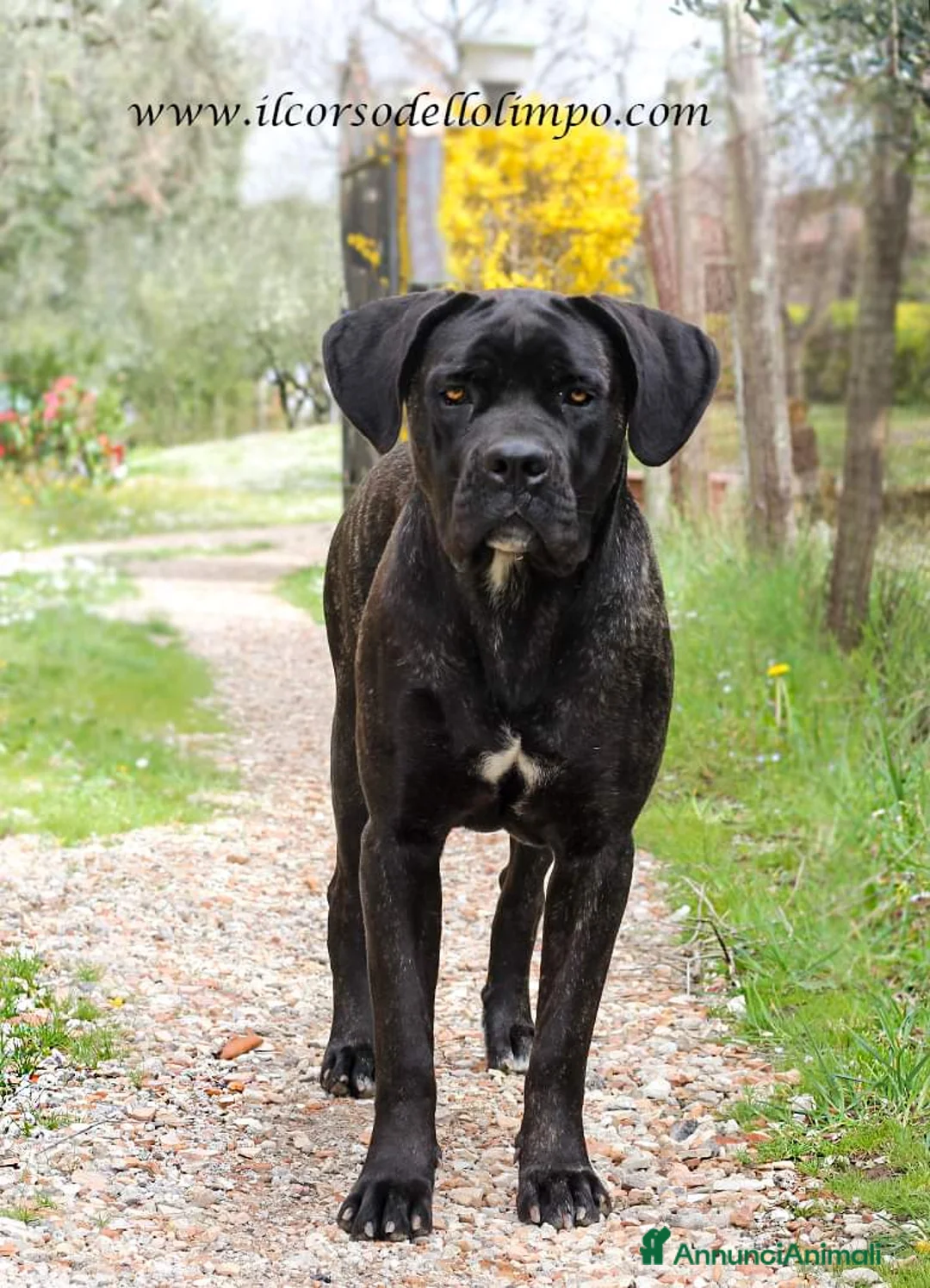 Immagine della galleria {{count}}