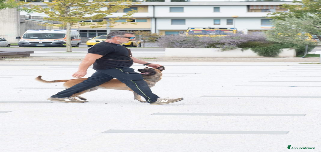 Immagine della galleria {{count}}