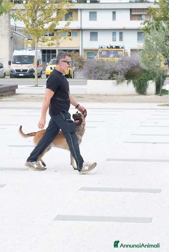 Immagine della galleria {{count}}