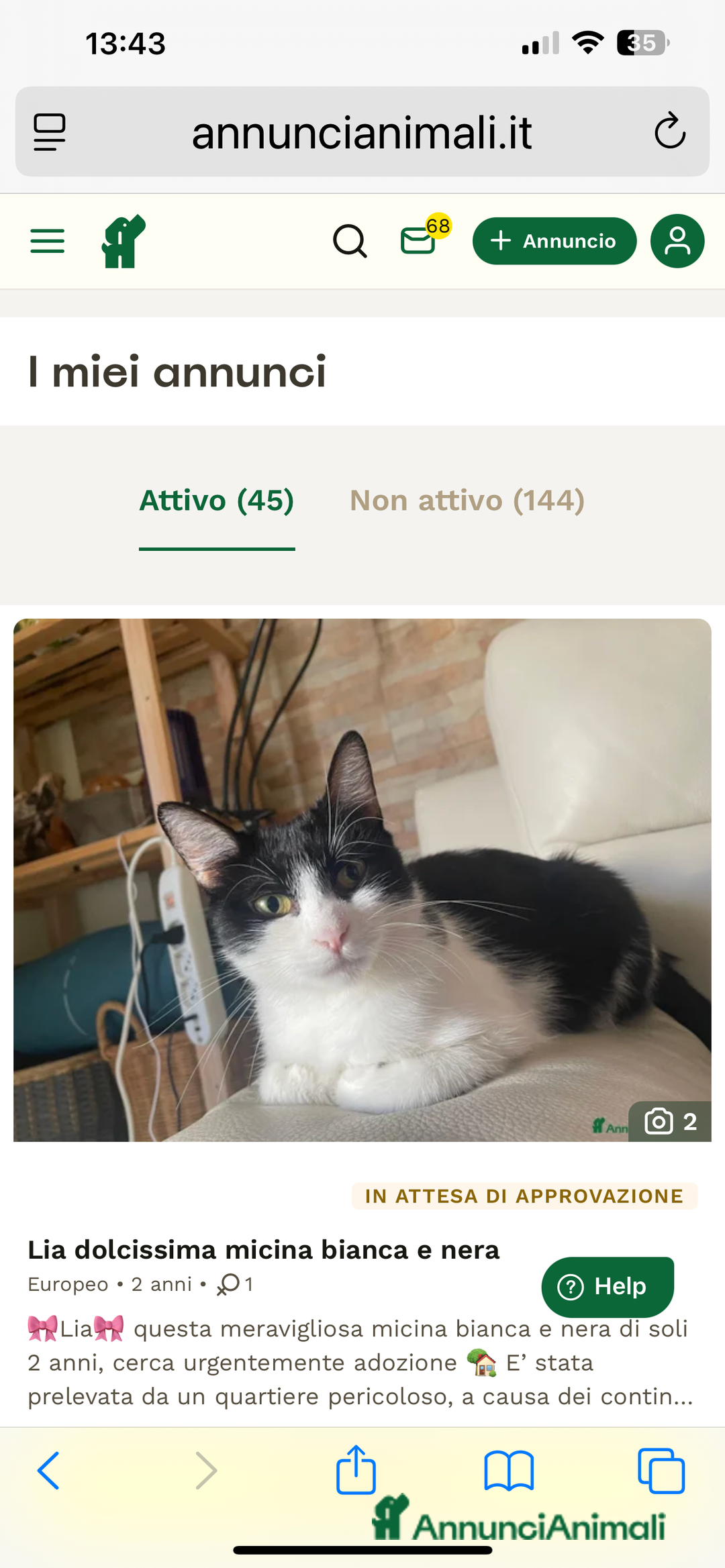 Europeo gatti in regalo: Puntina micina bianca e nera super coccolona  - Annuncio 2