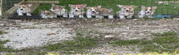 Corgi Pembroke cani in vendita: MARIA VITTORIA PAPILOVIT  a Provincia di Verona - Annuncio 3