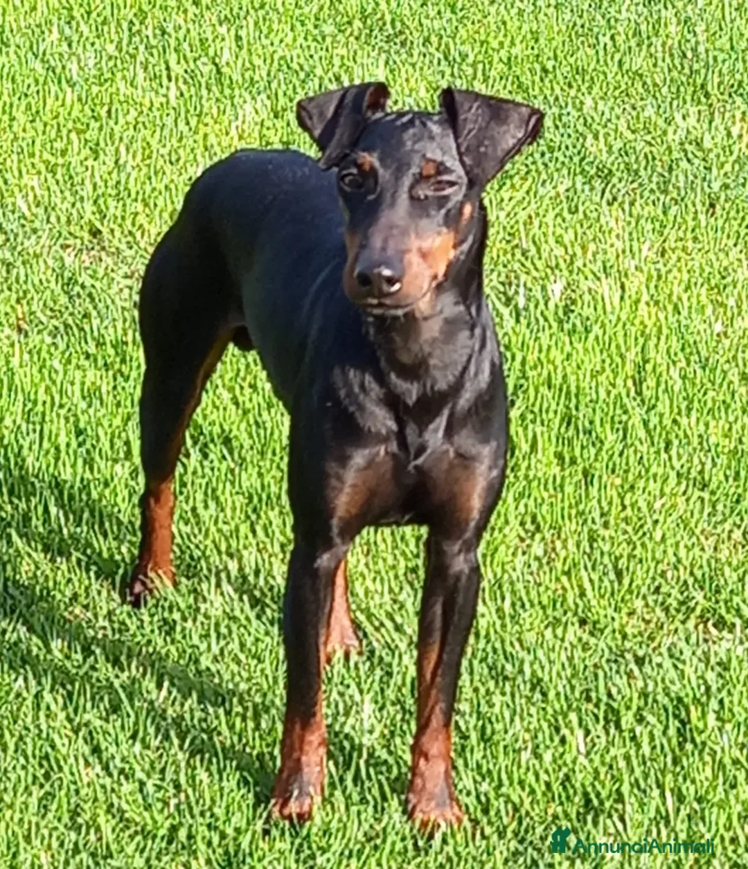 Immagine della galleria {{count}}