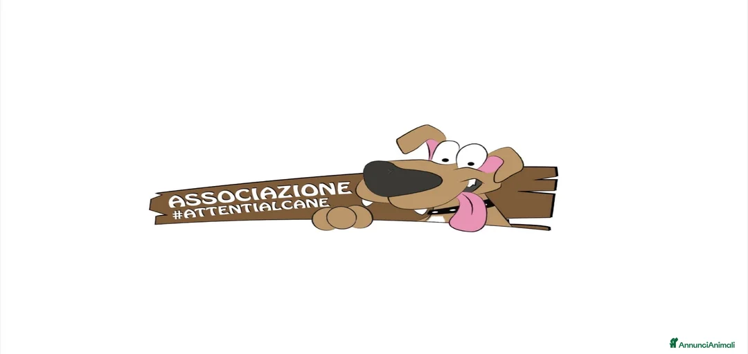 Immagine della galleria {{count}}