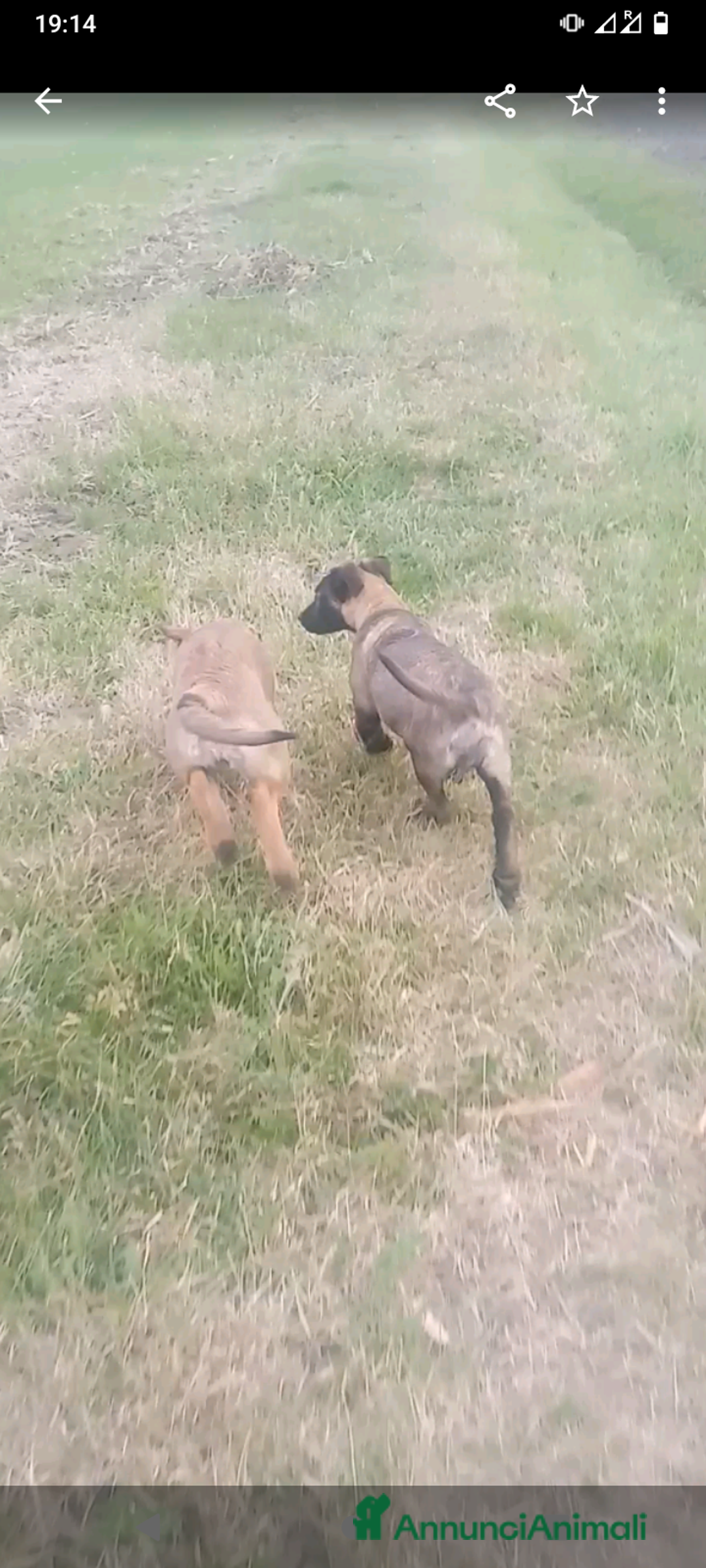 Immagine della galleria {{count}}