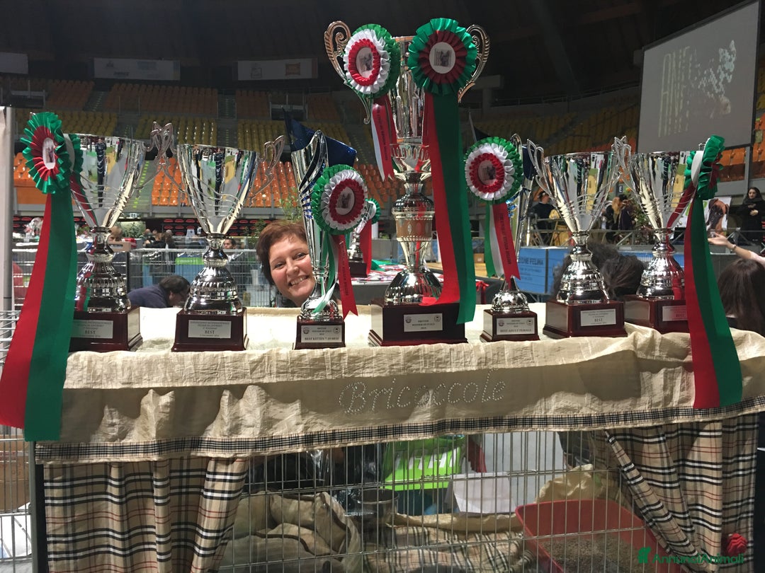 Immagine della galleria {{count}}