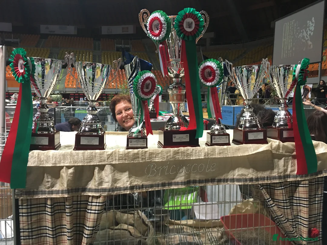 Immagine della galleria {{count}}