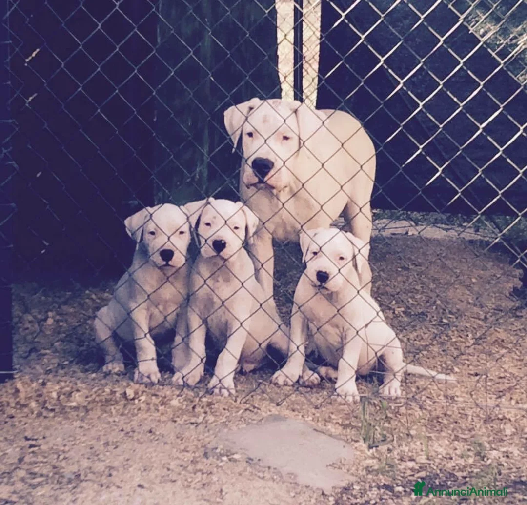 Immagine della galleria {{count}}