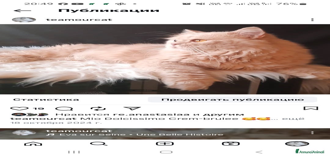 Immagine della galleria {{count}}