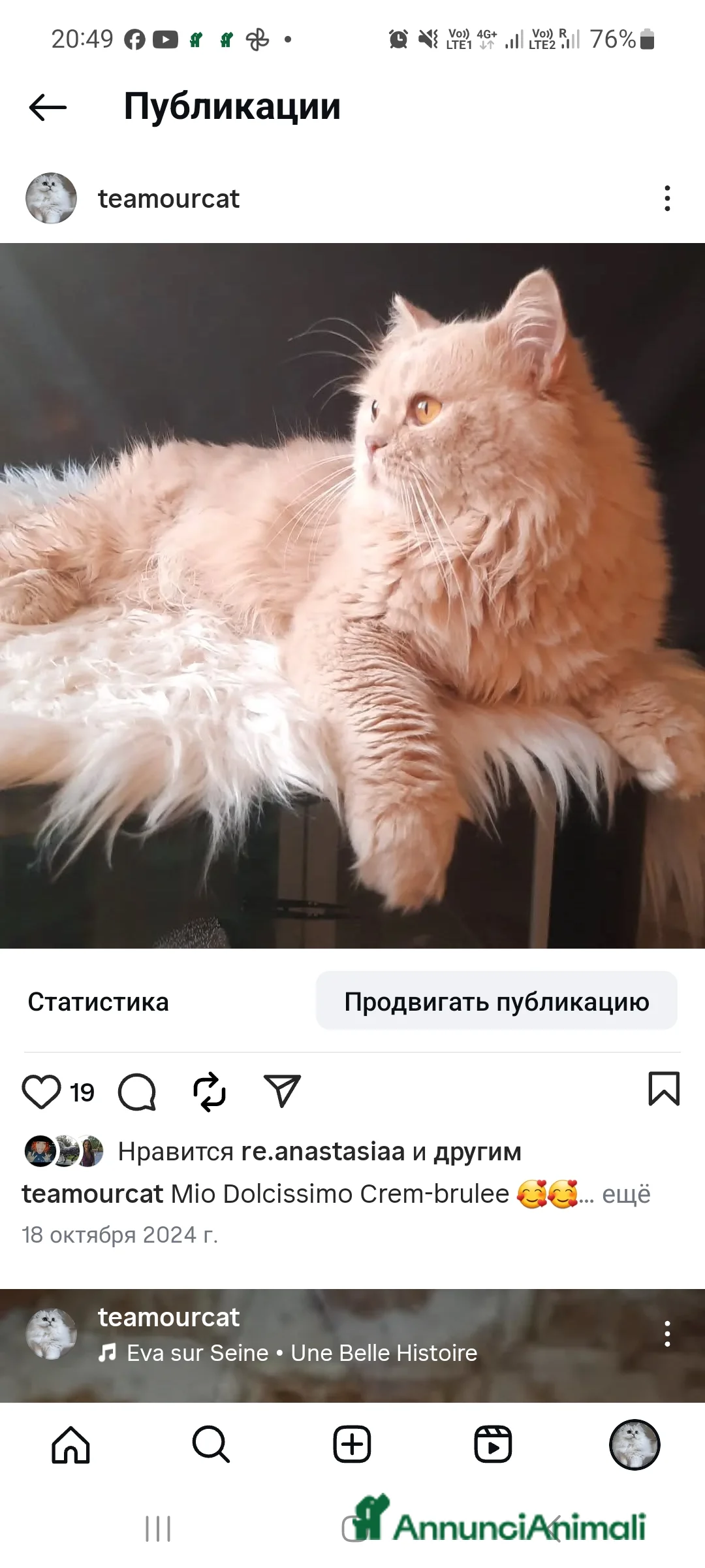 Immagine della galleria {{count}}