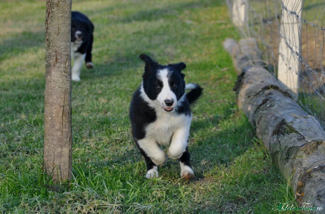 Immagine della galleria {{count}}