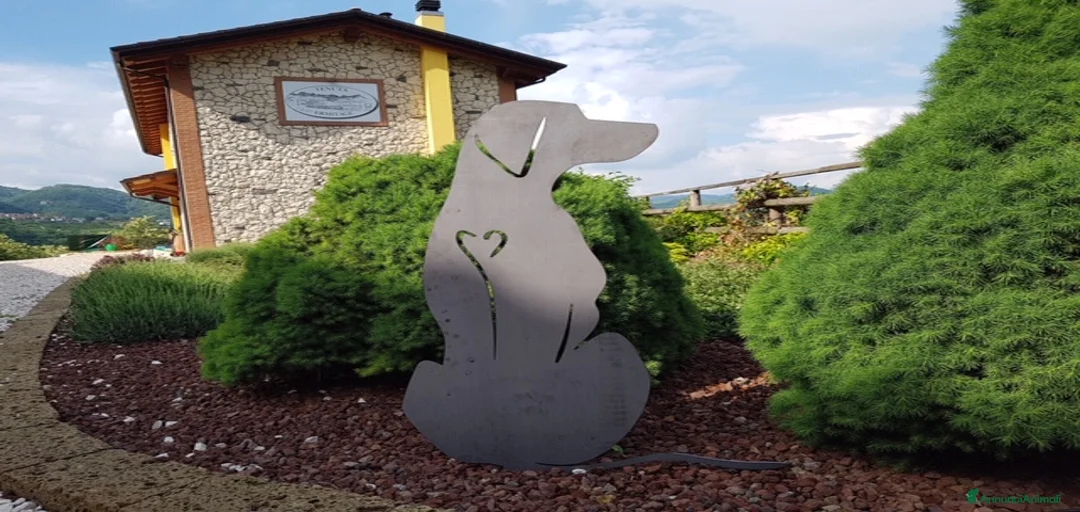 Immagine della galleria {{count}}