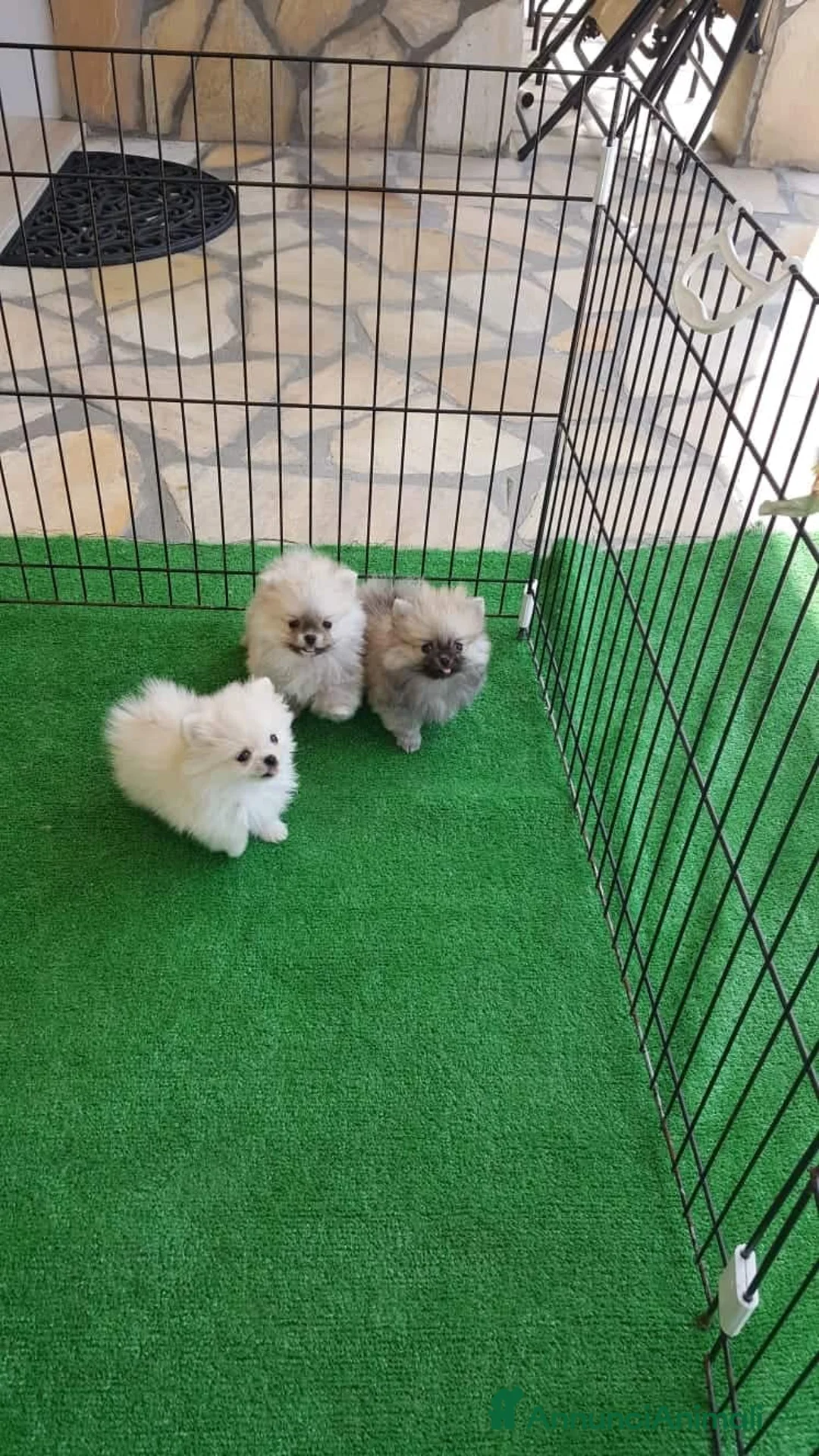 Immagine della galleria {{count}}