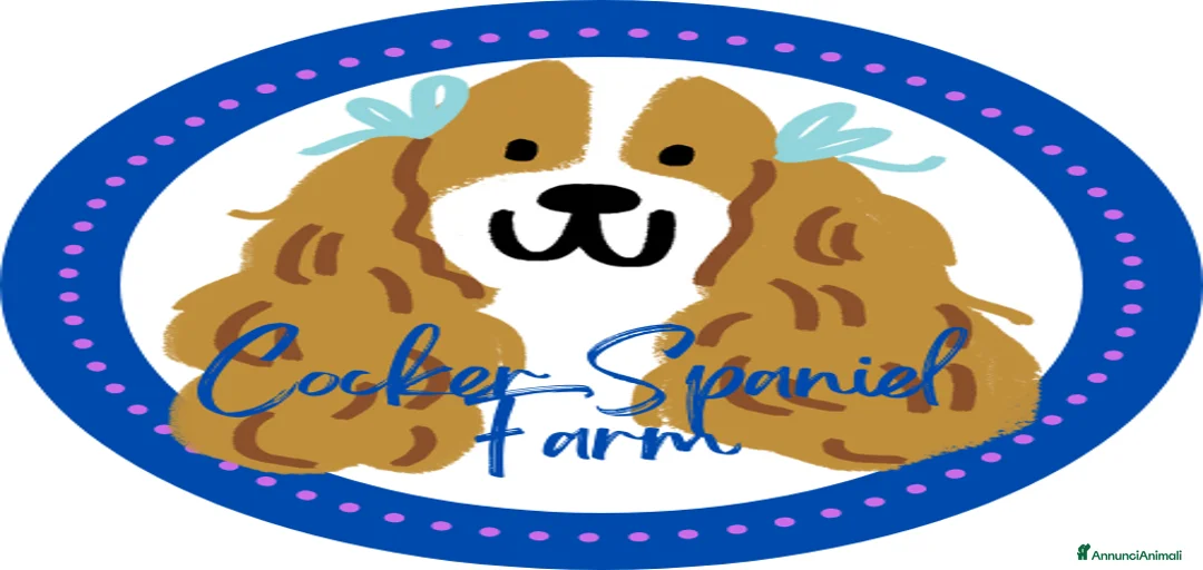 Immagine della galleria {{count}}