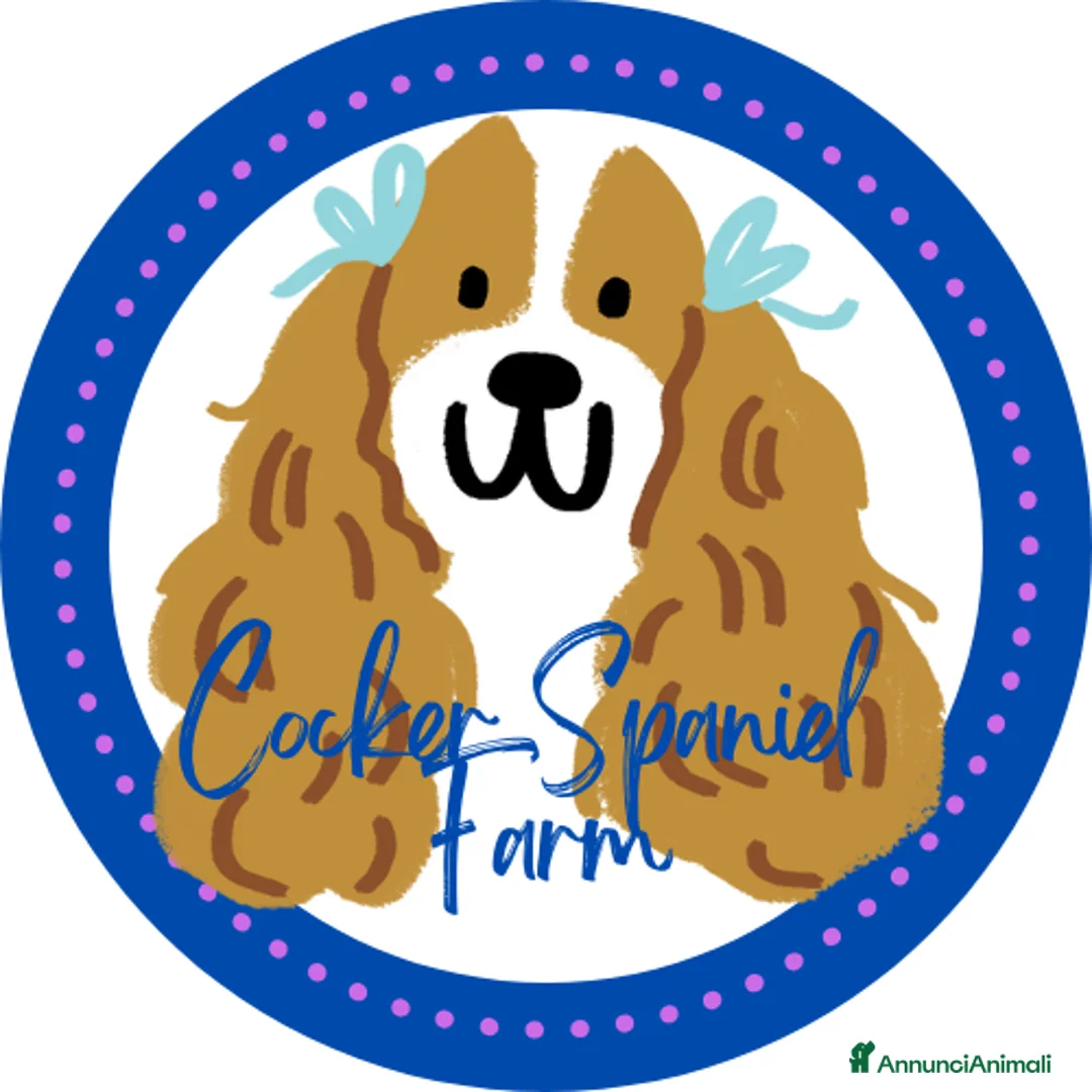 Immagine della galleria {{count}}