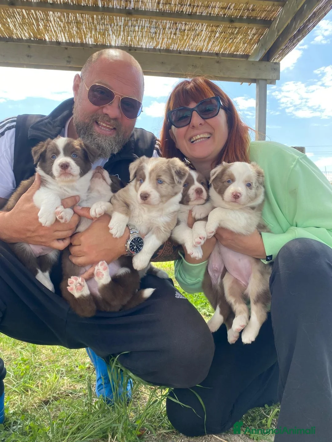 Immagine della galleria {{count}}