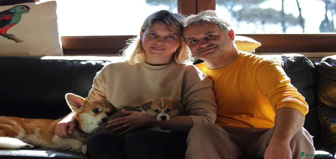 Immagine della galleria {{count}}