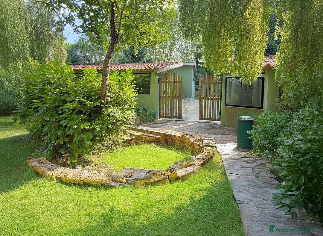 Immagine della galleria {{count}}