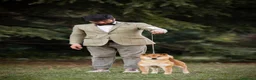Shiba Inu cani in vendita: Shiba inu cuccioli  - Annuncio 4