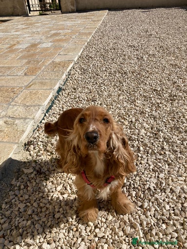 Immagine della galleria {{count}}