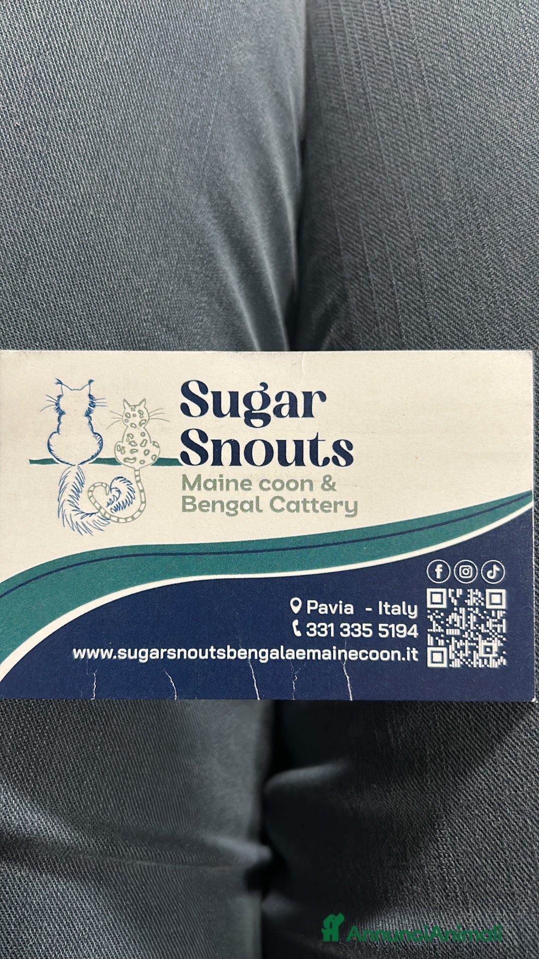 Immagine della galleria {{count}}