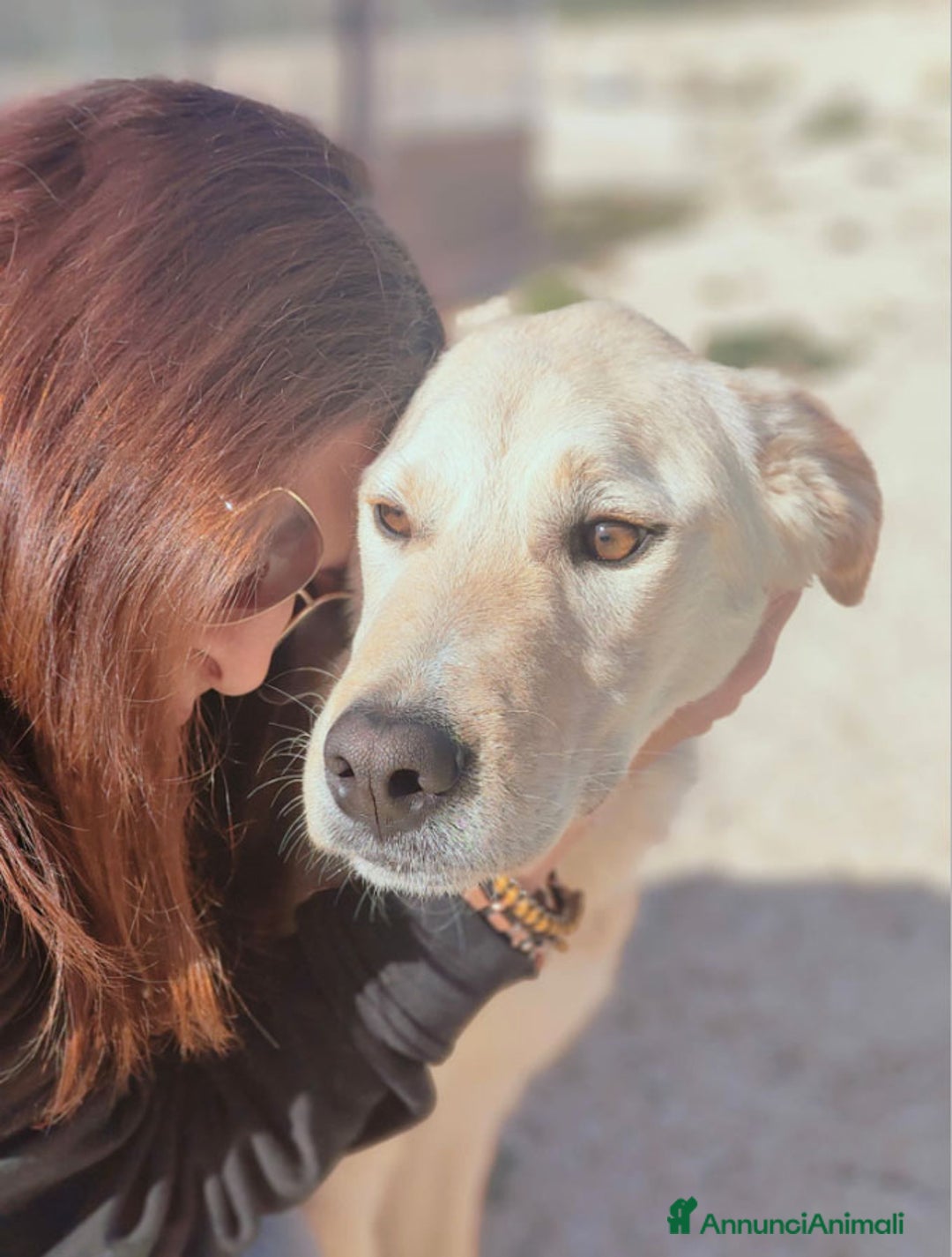 Altre razze cani in regalo: glick e giove - Annuncio 2