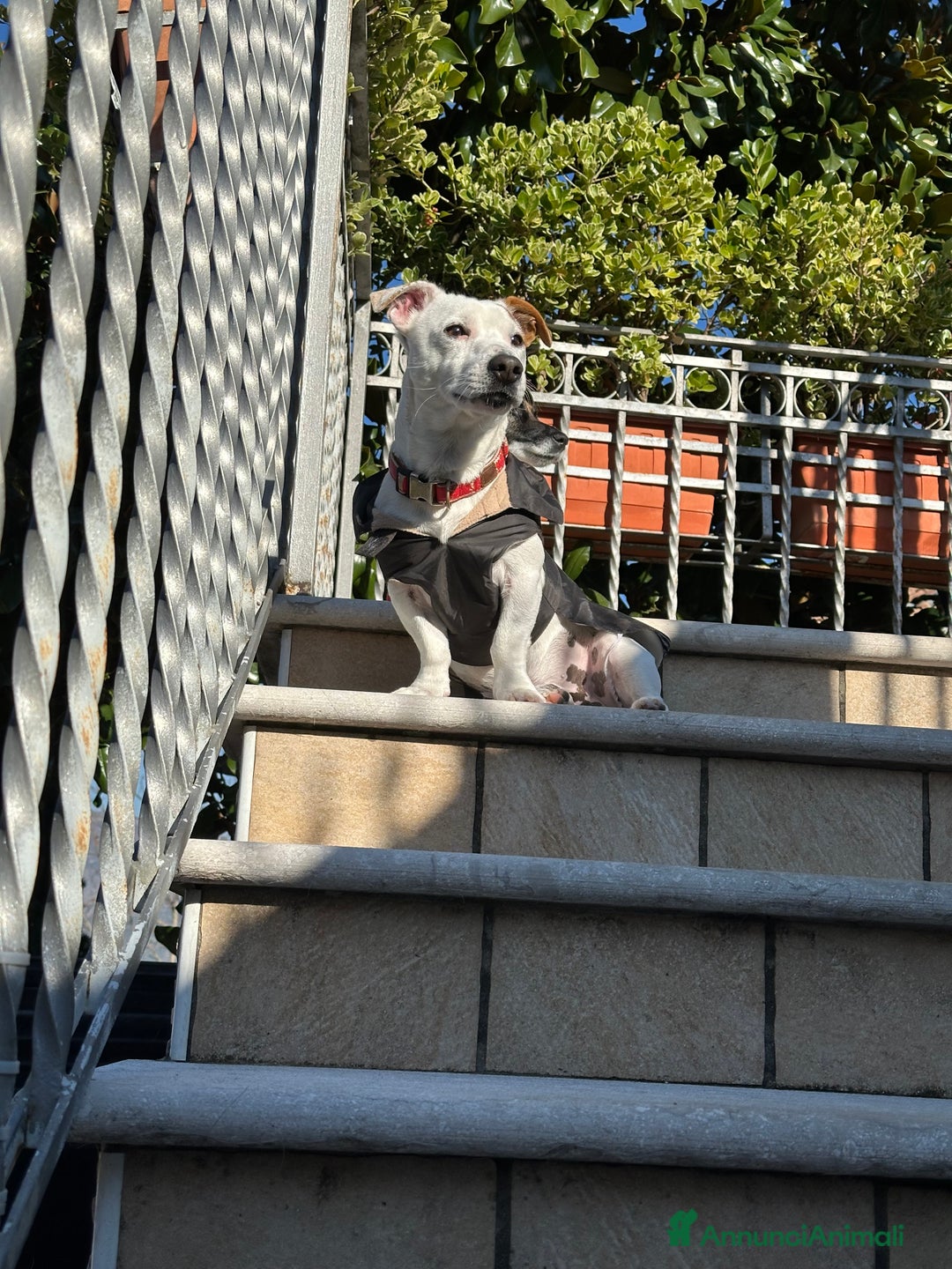 Immagine della galleria {{count}}