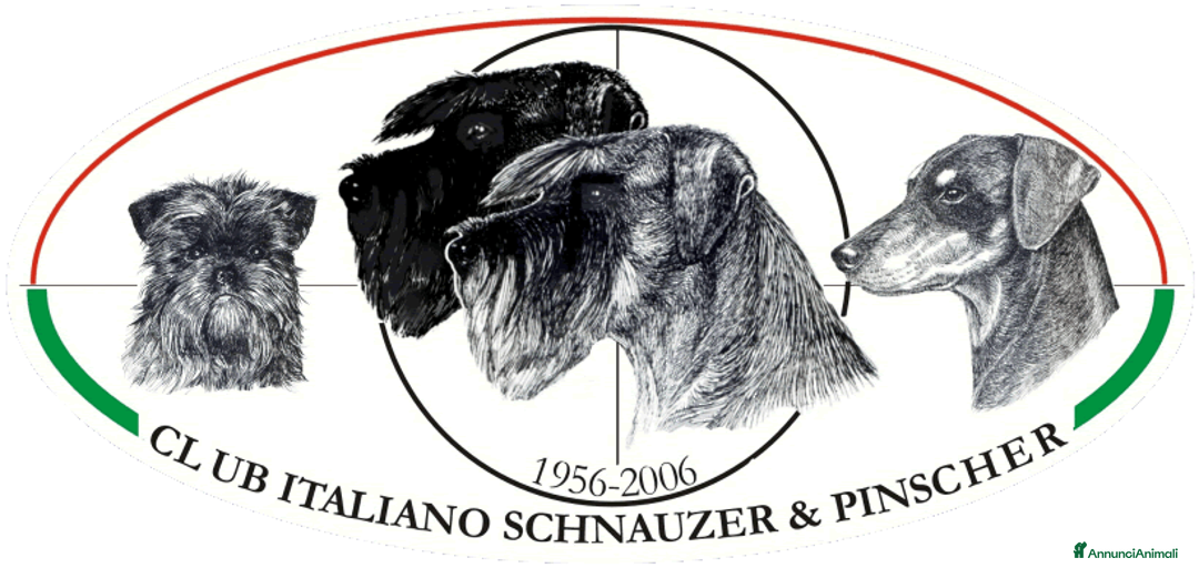 Immagine della galleria {{count}}