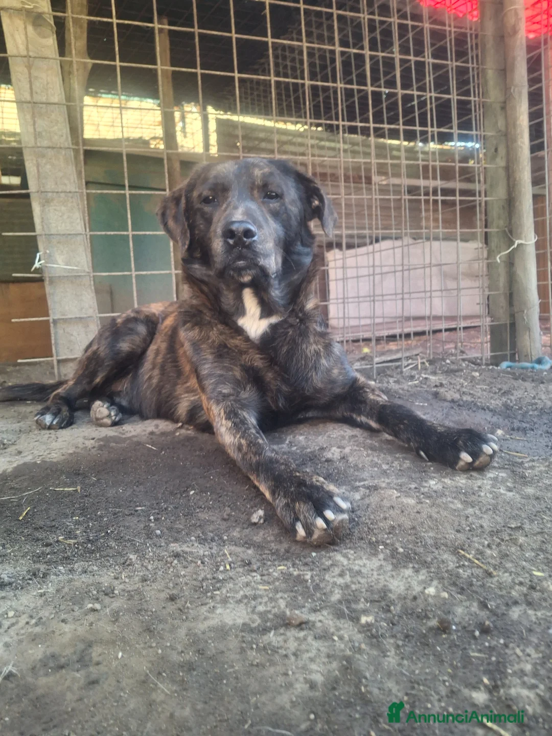 Immagine della galleria {{count}}