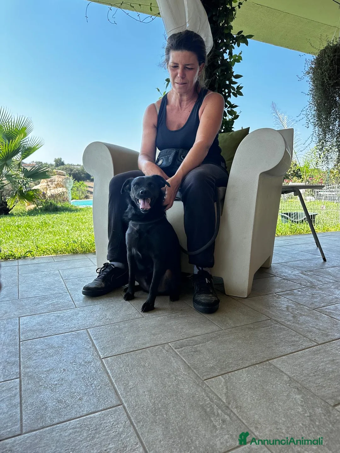 Meticcio cani in regalo: BART un canuccio piccino e tanto sfortunato a Pomezia - Annuncio 8