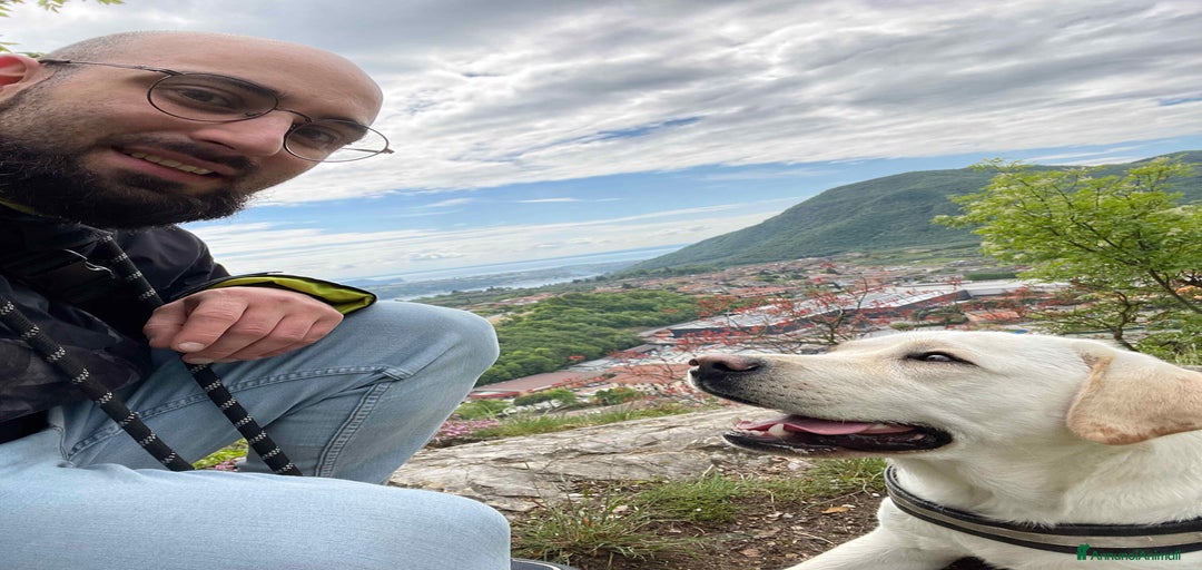 Immagine della galleria {{count}}