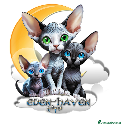 Immagine della galleria {{count}}