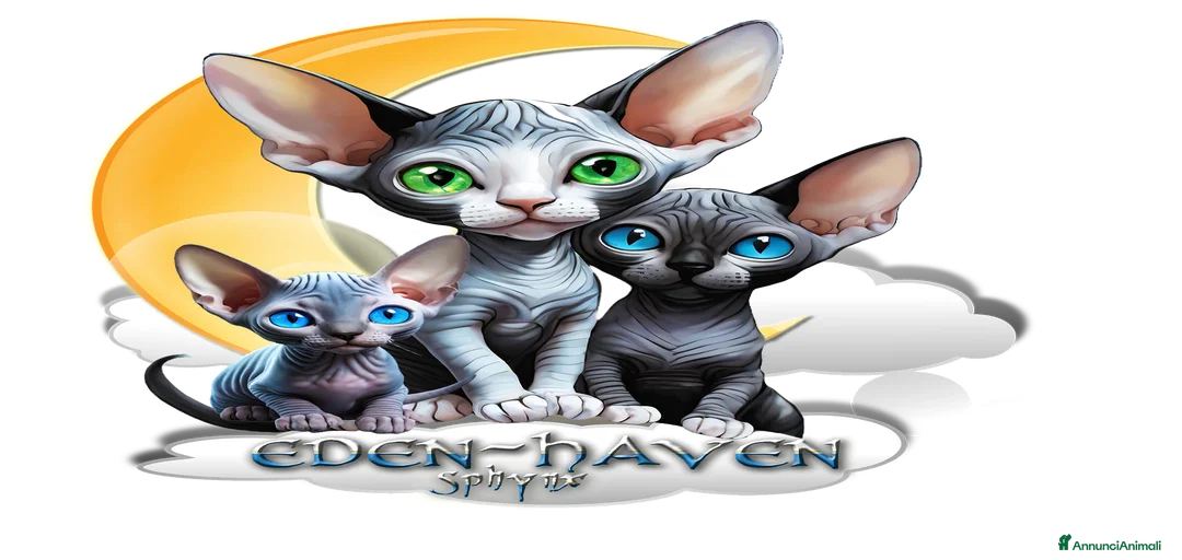 Immagine della galleria {{count}}