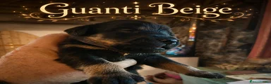 Guanti Beige